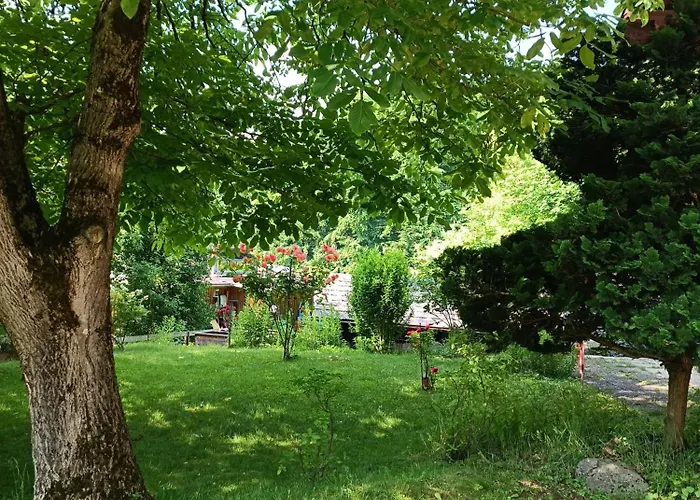 Am Traunsee شقة *