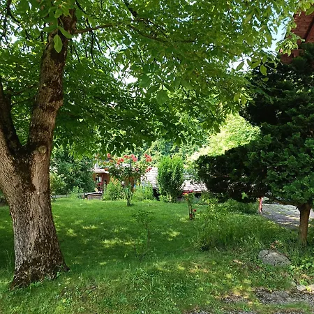 Am Traunsee Apartment *